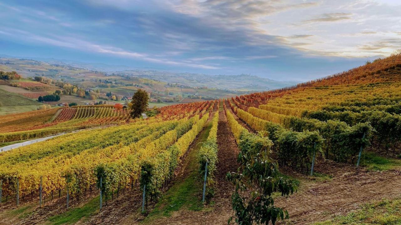 Casa Vacanze Sweet Dreams Agliano Terme Bagian luar foto